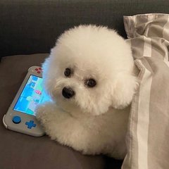 非常律师禹英禑和逃生年度黑马